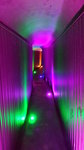 20161108_100945_LLS