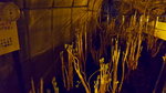 20161108_101147_LLS