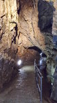 20161108_101405_LLS