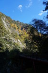 DSC00571