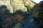 DSC00573