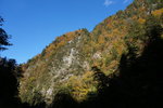 DSC00577
