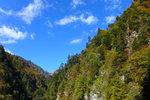 P1160957