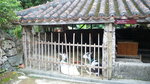 P1060980
