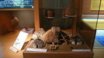 P1070647
