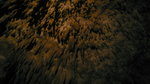 P1070841