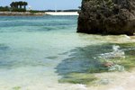 00159 okinawa
