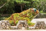00164 okinawa
