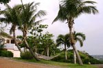 00279 okinawa