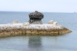 00287 okinawa