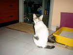 bobo2