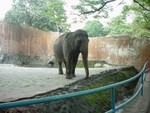 DSC00954