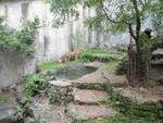 DSC00955