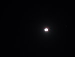 SUC50061