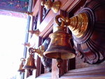 DSC04786