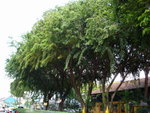 DSC04826