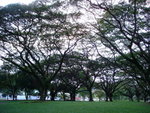 DSC04830