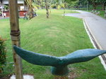 DSC04836