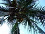 DSC04849