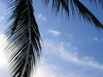 DSC04850