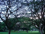 DSC04855