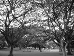 DSC04856