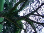 DSC04857