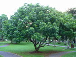 DSC04860