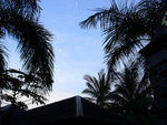 DSC04863