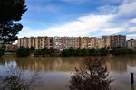 DSC02598