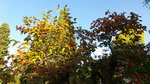 20131028_164905