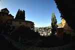 DSC00698