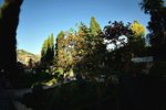 DSC00700