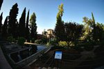 DSC00702
