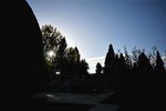 DSC00704