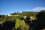 DSC00705