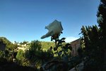 DSC00706