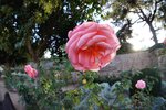 DSC00707