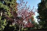 DSC00709