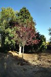 DSC00710