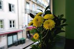 DSC01165