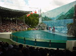 0024 泰國之旅 野生動物園