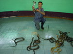 0121 泰國之旅 毒蛇研究中心