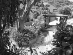 Taiwan01132