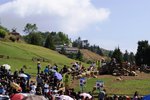 DSC02240