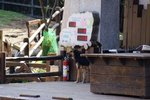 DSC02247