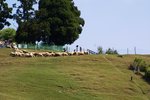 DSC02248