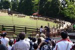 DSC02253