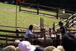 DSC02256