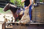 DSC02263